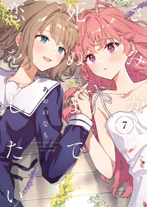Quero Te Amar Até o Fim Vol. 07