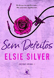 Sem defeitos (Chestnut Springs - Livro 1)