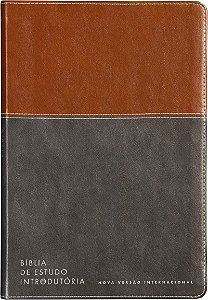Bíblia de Estudo Introdutória NVI, Letra tradicional, Fonte Leitura Perfeita, Capa luxo Marrom e cinza chumbo