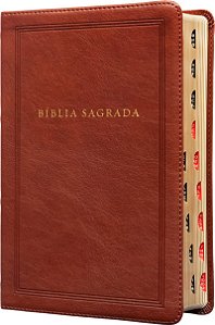 Bíblia Sagrada King James Clássica, Letra grande, Capa luxo marrom, Arabescos, Palavras de Jesus em azul, Índice de dedo, Leitura Perfeita: Com introdução aos livros bíblicos