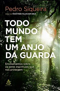 Todo mundo tem um anjo da guarda: Ensinamentos sobre os seres espirituais que nos protegem