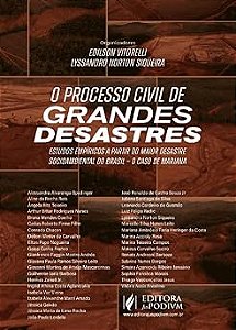 O Processo Civil de Grandes Desastres (2026)