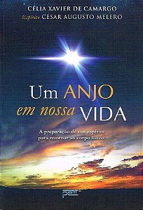 Um anjo em nossa vida