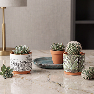 Kit Terracota 3 Peças Cachepot e Prato Decorativo p/ Plantas