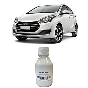 Tinta Poliester Aerógrafo Branco Polar 100ml Nr Estética