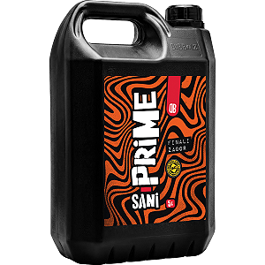 Finalizador Sanitizante Sani Prime 5L Dub Boyz