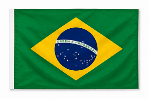 BANDEIRA BR 001 POLIESTER 30X45 C/1