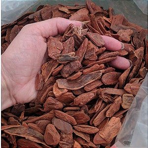 Casca de Pinus Polida Média - Pacote de 30L