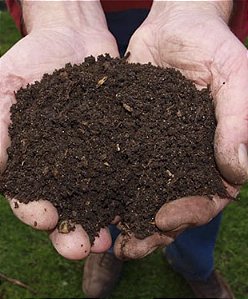 Terra Adubada - 20kg