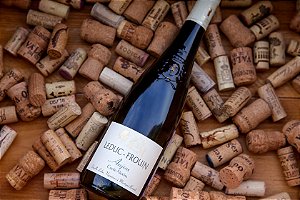 Leduc Frouin - Alexine - Blanc - Anjou Blanc - 2023