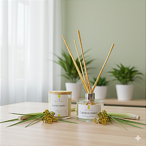 DUO CLASSIC CAPIM LIMÃO