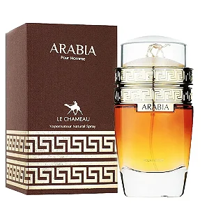 Arabia Pour Homme Le Chameau