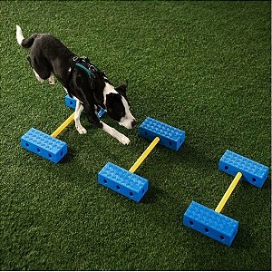 Equipamento FitPaws FitKinect