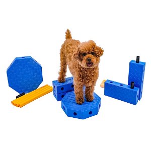 Equipamento FitPaws FitKinect