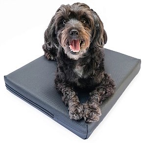 Conjunto Balance Pad FitPaws com Capa Protetora Antiderrapante
