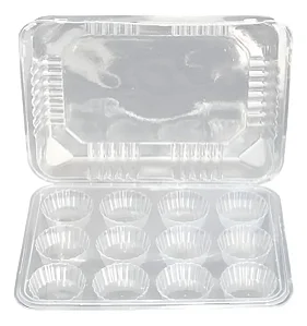 Embalagem NP-12 Retangular C/12 cavidades