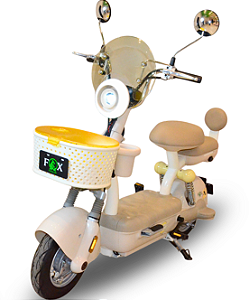Bicicleta Elétrica  Modelo WD-05
