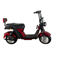Moto Scooter Elétrica 1000W 32km  Modelo X13