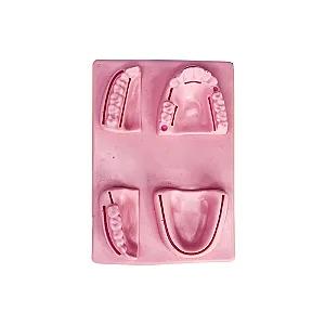 SIMULADOR DE PELE 3D DENTAL/ORAL TREINAMENTO DE SUTURA - ORTHO PAUHER