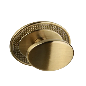 Puxador para Móvel Ponto Beetle Com Base Granada Gold Escovado ZP5402 - Zen