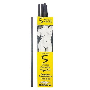 LAPIS CARVAO VEGETAL