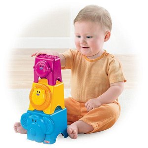 FP - CUBOS DOS ANIMAIS