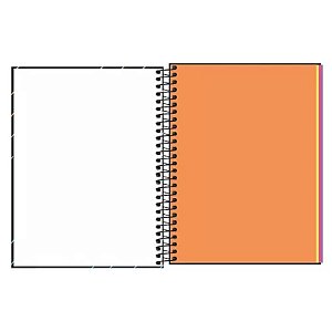 CAD CD COLEG NEON KORI 1M 80F 7891027310257