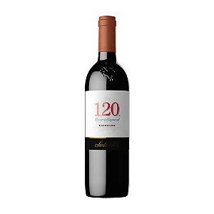 V SANTA RITA 120 CARMENERE