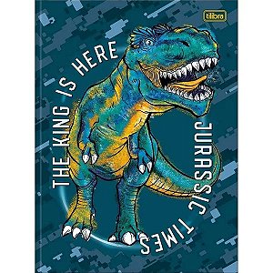 CAD BROCH CD UN RAPTOR 80F 7891027309541