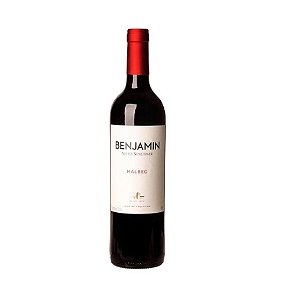 V BENJAMIN NIETO MALBEC