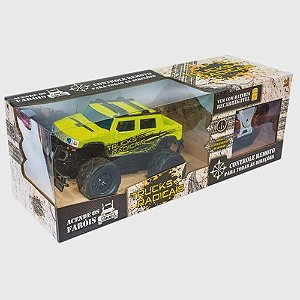 CARRINHO COM CONTROLE REMOTO