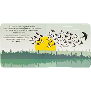 ESCOLINHA MONTESSORI MEU P LIVRO... ANDORINHA