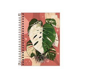 CADTA ESP CD 1/8 NATURALIS 80F 7891027292256