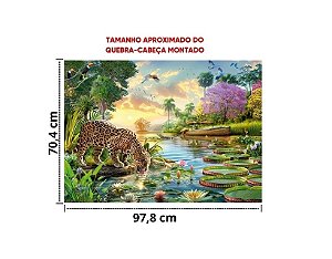 QC 2000 PCS - PANTANAL