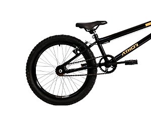 BIC. ARO 20 TRICK PRETA