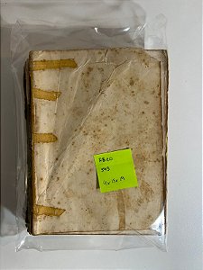 Entre dois mundos: Kathyn Hulme