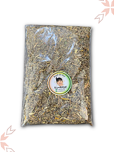 Kumbaya Curumim – Conexão, Harmonia e Leveza