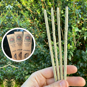 Incenso de Sálvia – Limpeza e renovação energética