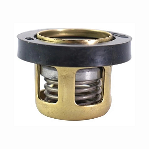 VÁLVULA DA BOMBA JP 75/100 - JACTO