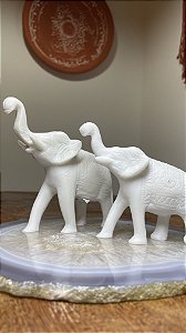 DUPLA ELEFANTE MÁMORE ORIGINAL NA ÁGATA