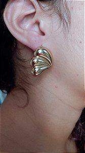 Brinco Asas Douradas em Aço Inox Importado