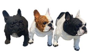 Estatua Resina Bulldo Françês Grande