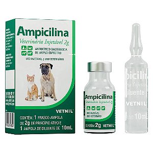 Ampicilina Injetável 2 g