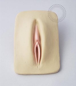 EP20 Expositor Genital Silicone