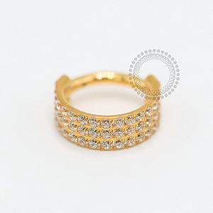TN1846 Segmento Triplo Cravejado Titânio PVD Gold