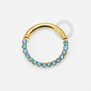 TN1856 Segmento Frontal CZ Safira Titânio PVD Gold