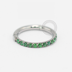 TN1859 Segmento Cravejado Esmeralda Titânio ASTM F136