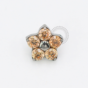 TN1860 Topo Flor CZ Champanhe 4.5mm Titânio ASTM F136