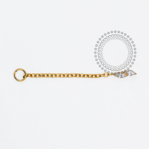 TN1956 Topo 2 Navetes CZ Corrente Titânio PVD Gold