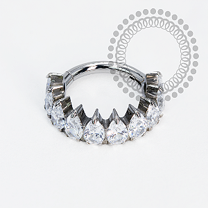 TN1965 Segmento Coroa  CZ Titânio ASTM F-136